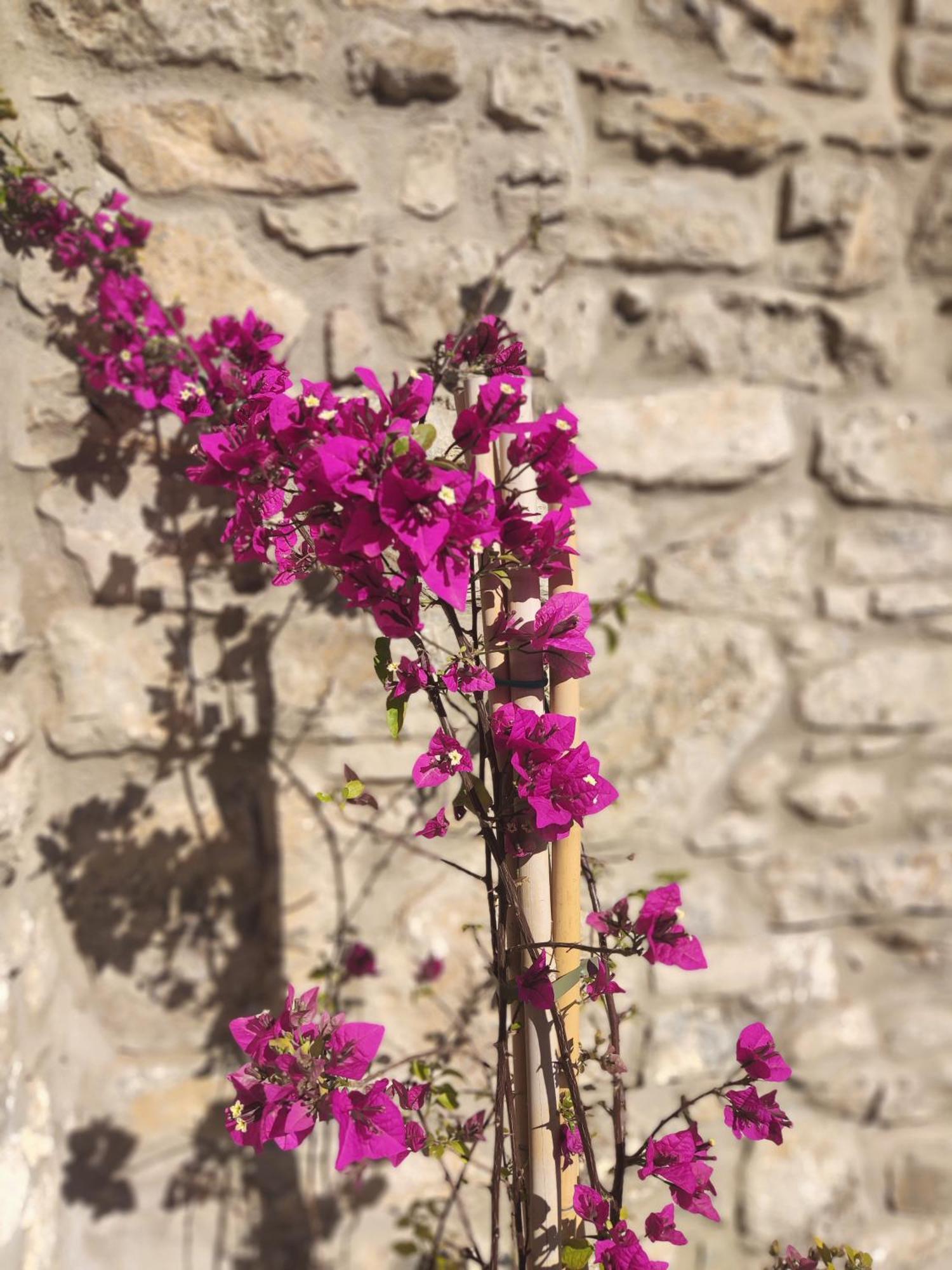 Pyrgi Cretan Living & Spa Pirgos  Luaran gambar